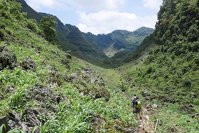 © Alain Guiot - Thong Nong - Vietnam Thong Nong - Vietnam