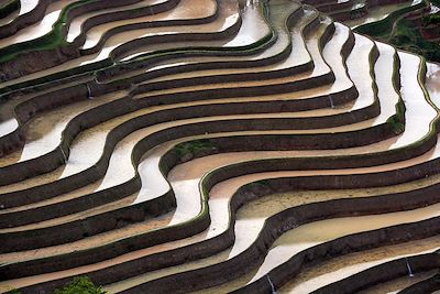 Suoi Thau - Vietnam