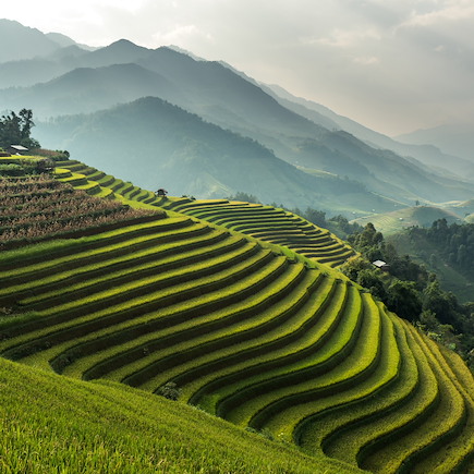 Rencontres Vietnam Montagnes du Tonkin