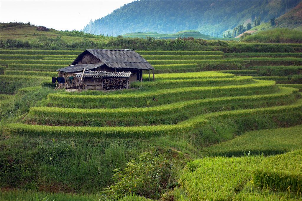 Image Navigation Baie D'Halong - Trek Bac Ha - Randonnée Tonkin
