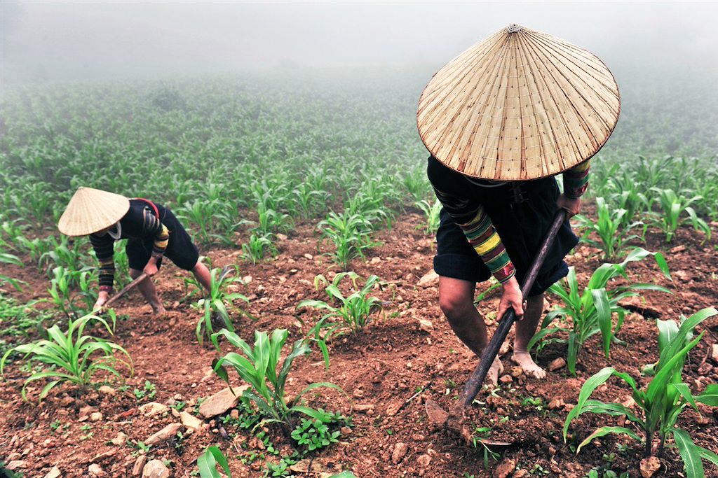 Image Trek Cao Bang - Rencontres Hmong - randonnée Tonkin