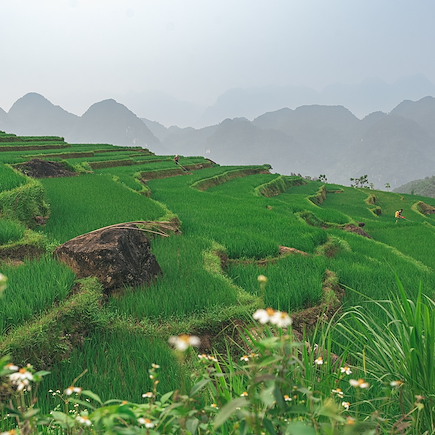 Voyage Vietnam