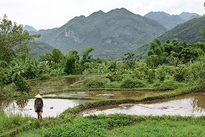 Rizières devant des montagnes - Mai Chau - Vietnam