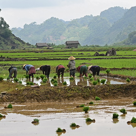 Découverte Vietnam Hanoi et la Baie d'Halong