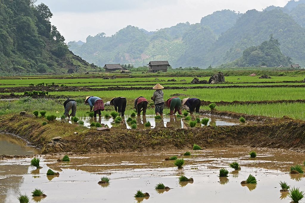 Image Navigation Baie D'Halong - Randonnée Pu Luong - Vélo Tam Coc