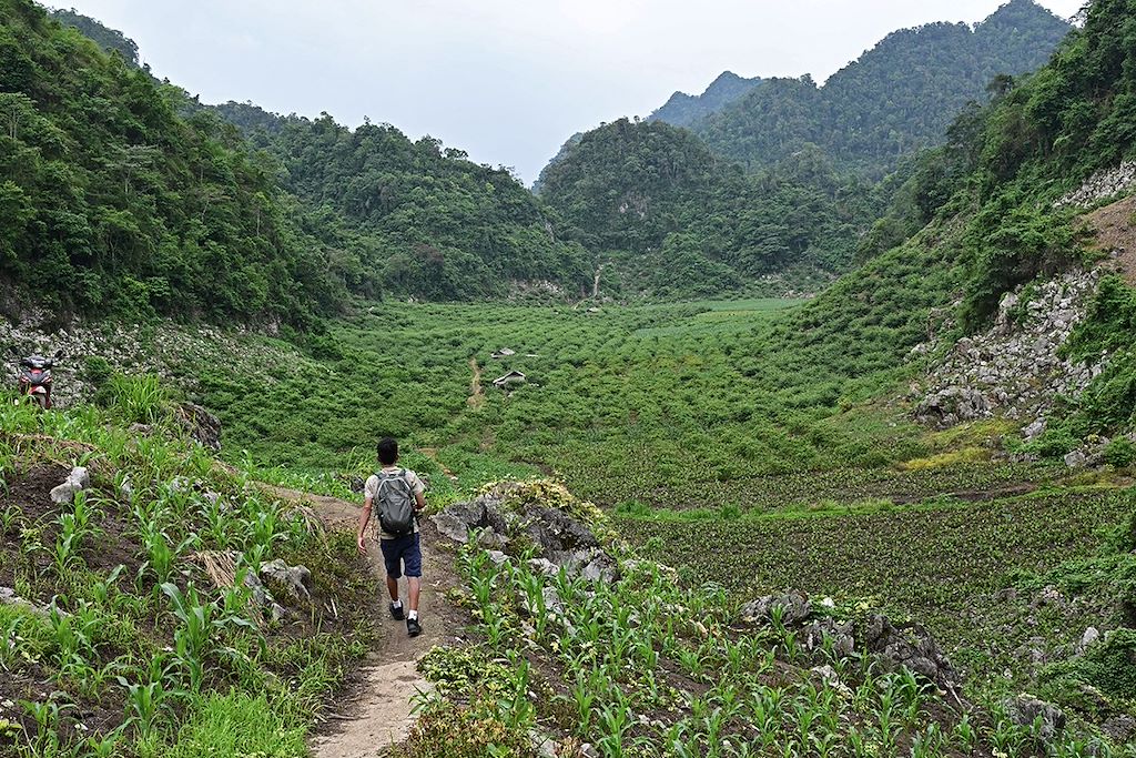 Image Navigation Baie D'Halong - Randonnée Pu Luong - Vélo Tam Coc
