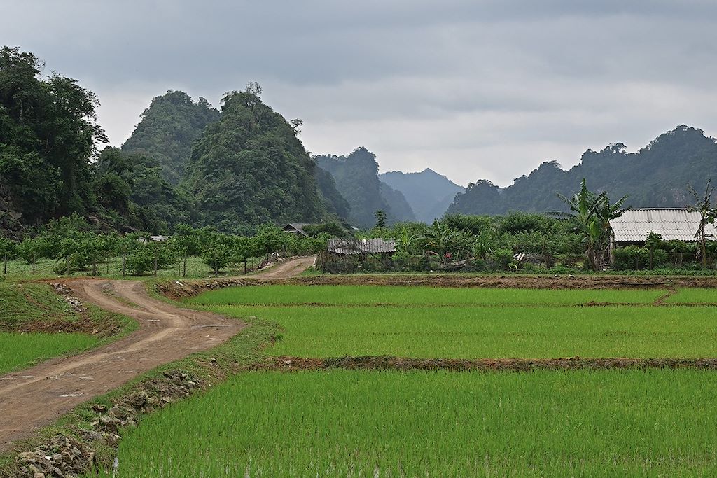 Image Navigation Baie D'Halong - Randonnée Pu Luong - Vélo Tam Coc