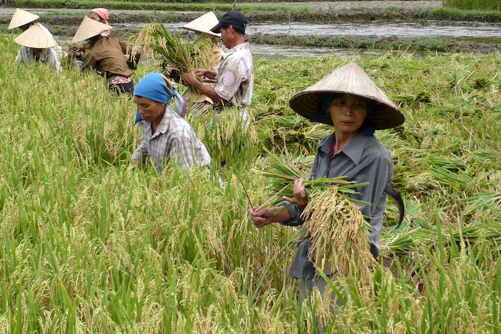Image Vietnam à vélo - Baie d'Halong à vélo - Delta du Mekong à vélo