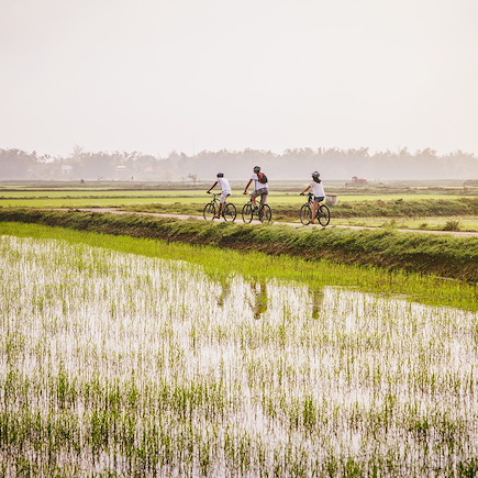 Vélo Vietnam