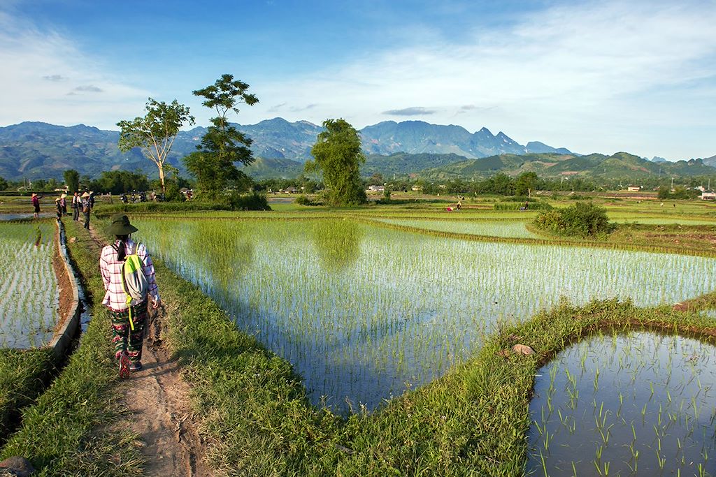 Image Immersion Ethnies Du Tonkin - Navigation Baie De Lan Ha - Randonnée Nord Du Vietnam