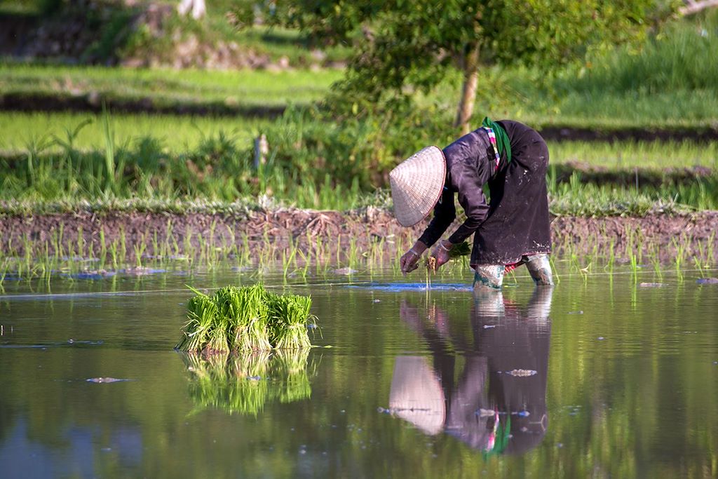 Image Immersion Ethnies Du Tonkin - Navigation Baie De Lan Ha - Randonnée Nord Du Vietnam