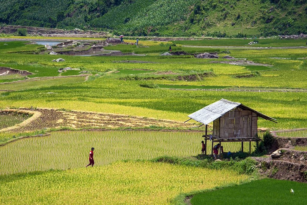 Image Immersion Ethnies Du Tonkin - Navigation Baie De Lan Ha - Randonnée Nord Du Vietnam