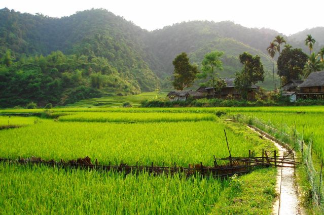 Trek - Haut Laos et nord Vietnam : territoires méconnus