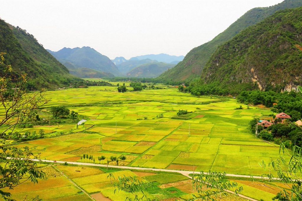 Image Baie d'Halong terrestre à vélo - Hanoi à vélo