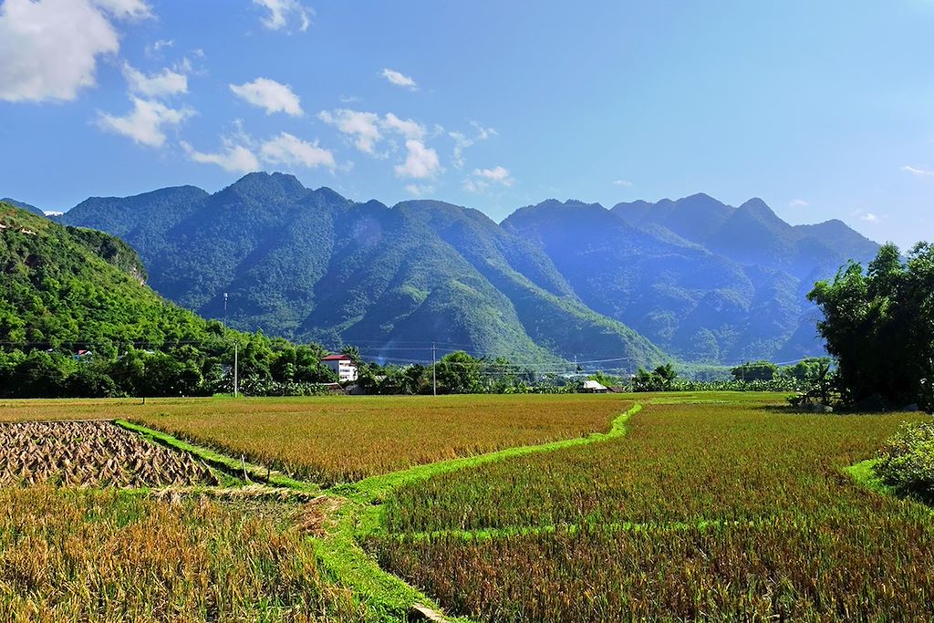 Image Baie d'Halong terrestre à vélo - Hanoi à vélo