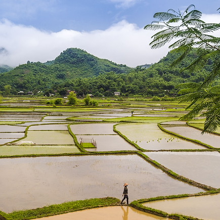 Vélo Vietnam Hanoi et la Baie d'Halong