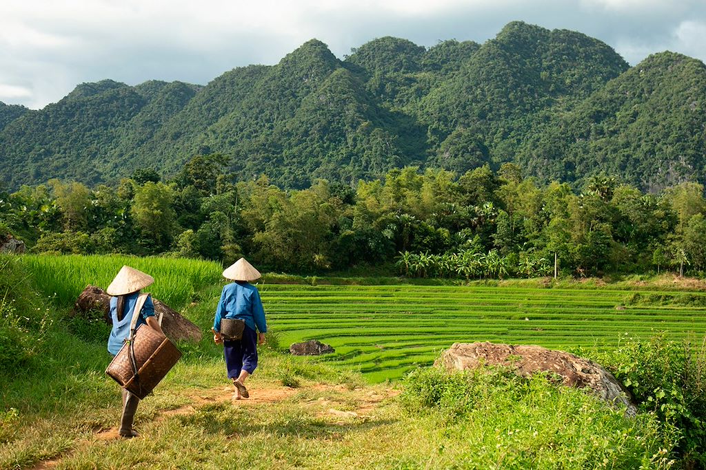 Image Baie d'Halong terrestre à vélo - Hanoi à vélo