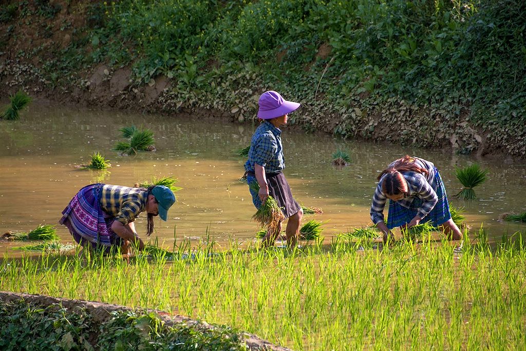 Image Randonnée Tonkin - Visite Hué - Delta du Mékong