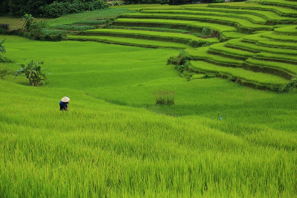 Image Randonnée Tonkin - Visite Hué - Delta du Mékong