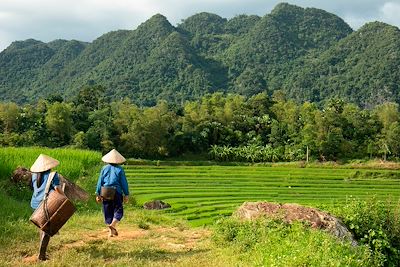 Voyage Montagnes du Tonkin