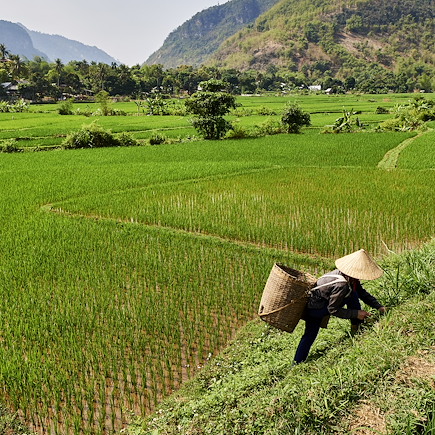 Découverte Vietnam Montagnes du Tonkin