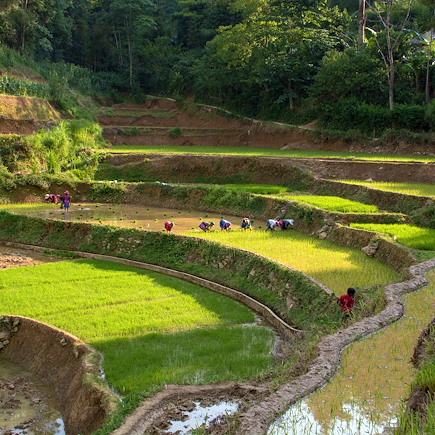Découverte Vietnam Montagnes du Tonkin