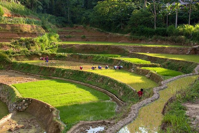 Voyage Des montagnes de Bac Ha aux plages de Hoi An