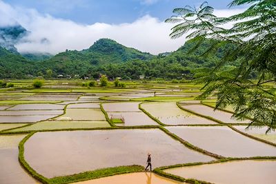 Vallée de Mai Châu - Vietnam