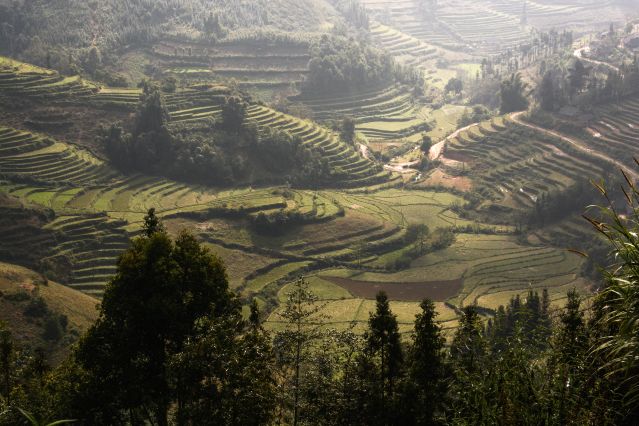 Image Ethnies, rizières et baie d'Halong