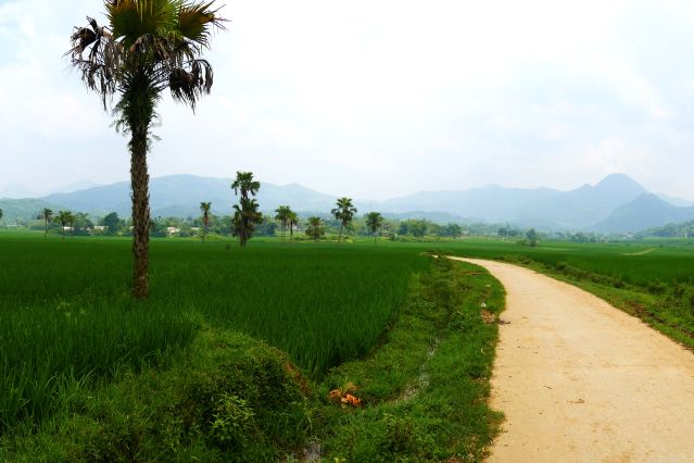 Image Les confins du nord-est du Vietnam à vélo