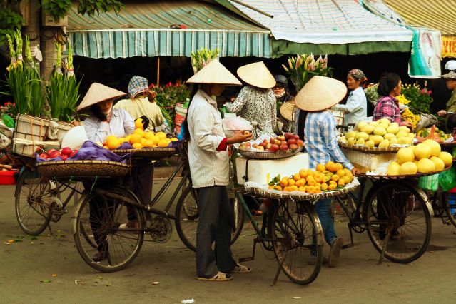 Voyage Les incontournables du Vietnam 