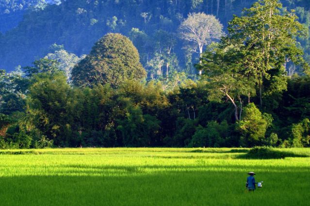Image Haut Laos et nord Vietnam : territoires méconnus
