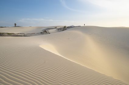 Entre vallées tropicales et désert de sable
