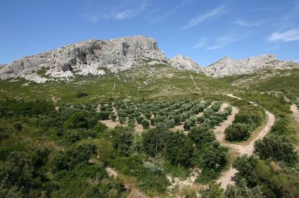 La Provence en liberté, des Alpilles au Luberon