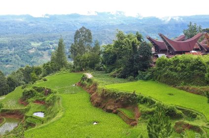 Extension à Sulawesi dans le Pays Toraja 