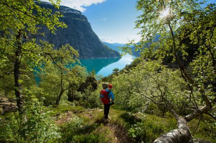 Kayak et randonnées dans les fjords