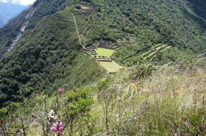 Trek des cités incas, Choquequirao et Machu Picchu