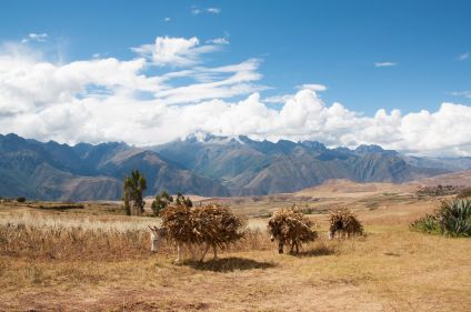 Randonnée sur les chemins des Incas