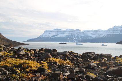 Odyssée Arctique : du Spitzberg au Groenland 
