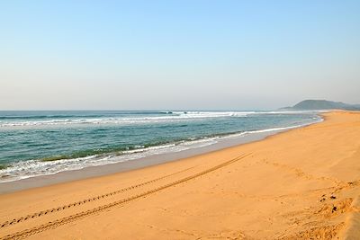 Sainte-Lucia - KwaZulu-Natal - Afrique du Sud