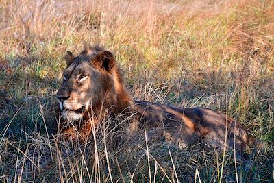 Voyage Grands espaces d'Afrique du Sud à Victoria Falls 2