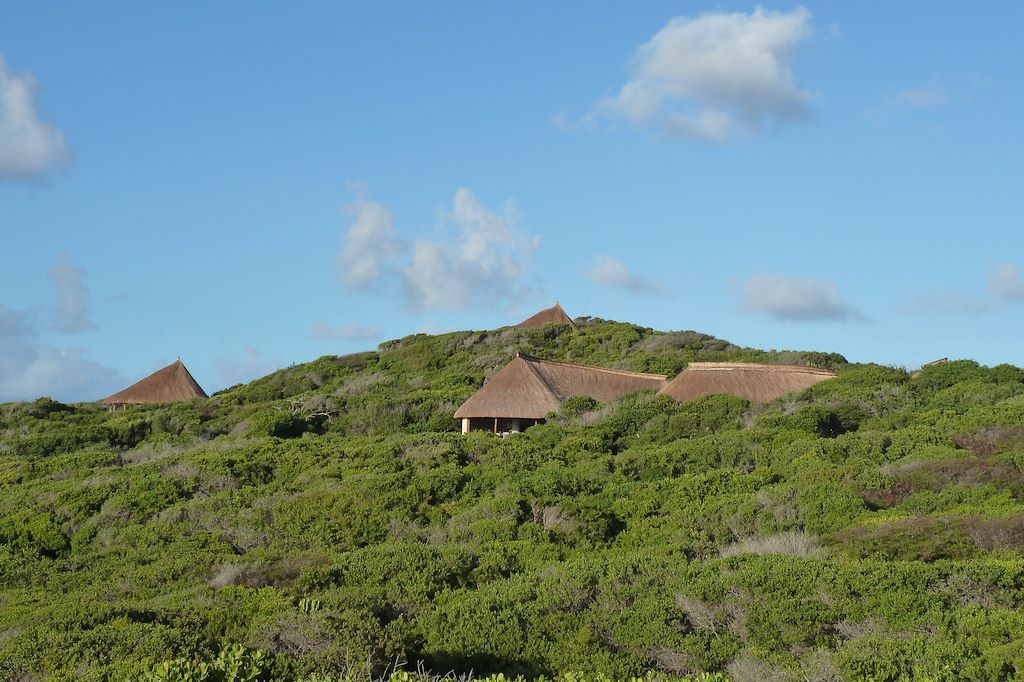 Voyage Boucle sauvage : entrevue avec l'Afrique australe 3