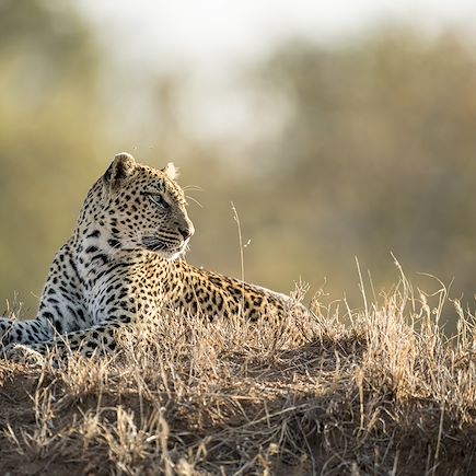 Randonnée Afrique du Sud