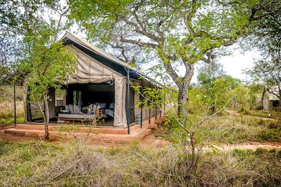 Honeyguide Khoka Moya Camp - Réserve Privée de Manyeleti - Afrique du Sud