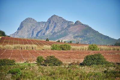 Franschhoek - Afrique du Sud 