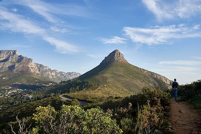 Lion's Head - Le Cap - Afrique du Sud 