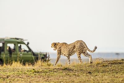 Voyage En piste pour les grands espaces d'Afrique du Sud 1