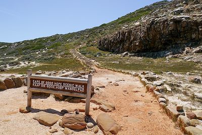 Voyage Du Cap au Kruger 3