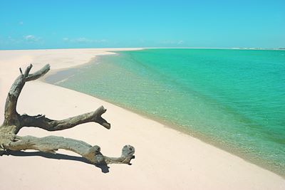 © Nyati Beach Lodge - Nyati Beach Lodge - Vilanculos - Mozambique Nyati Beach Lodge - Vilanculos - Mozambique