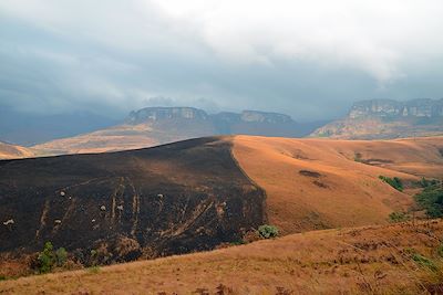 Voyage Afrique du Sud